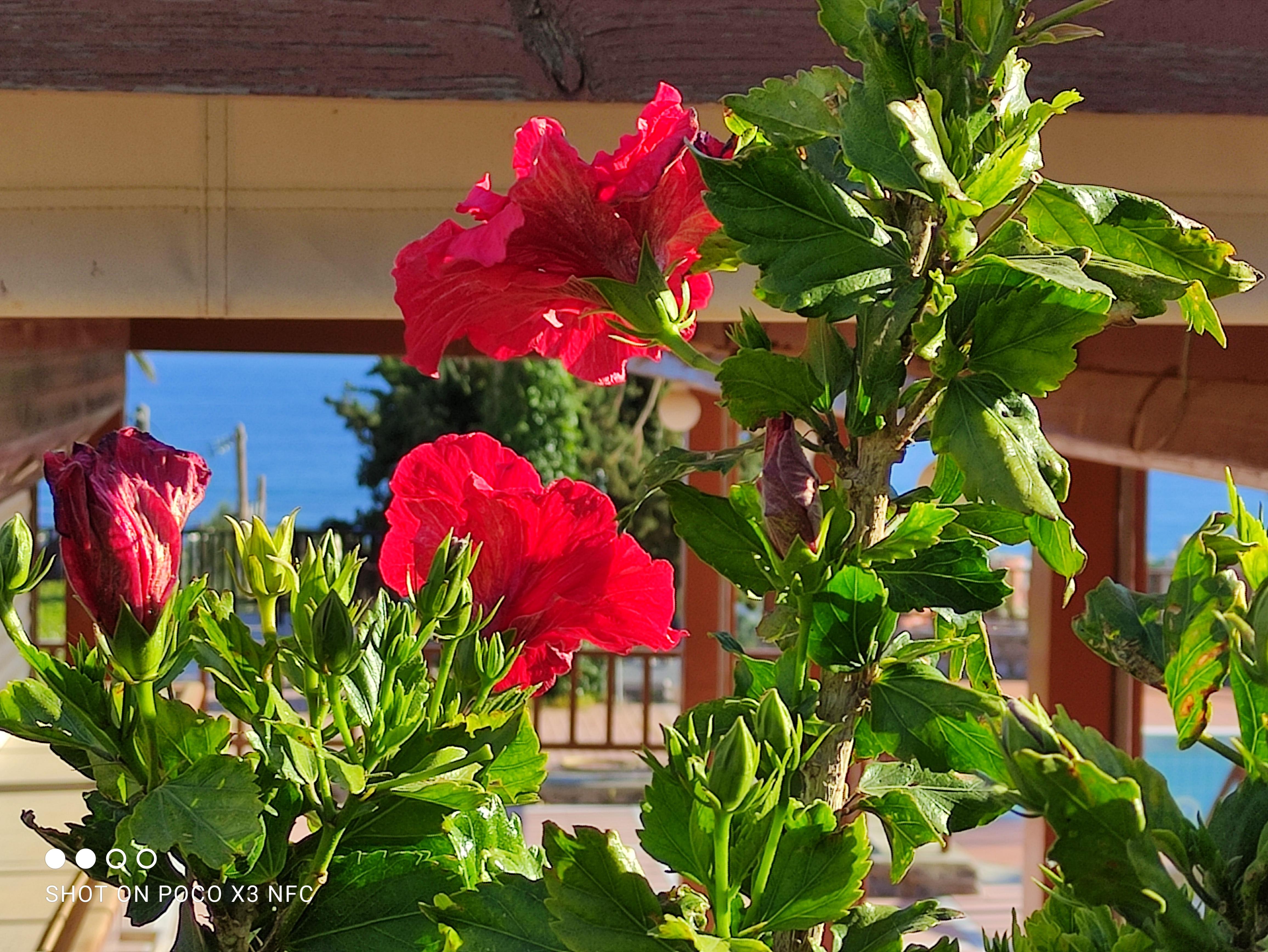 Magia Village Resort Koutouloufari  Exterior photo